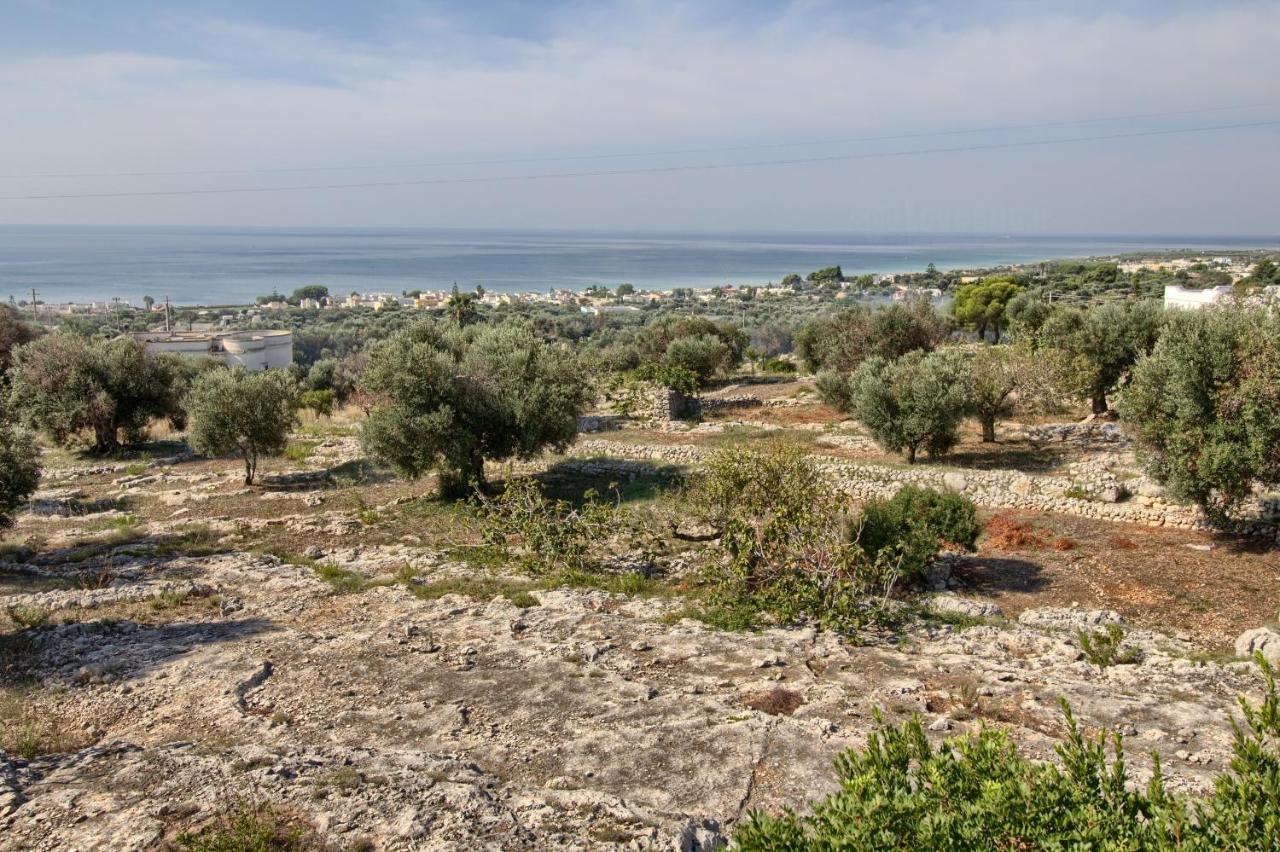 Li Cantori By Lovesud Marina Di Pescoluse Dış mekan fotoğraf